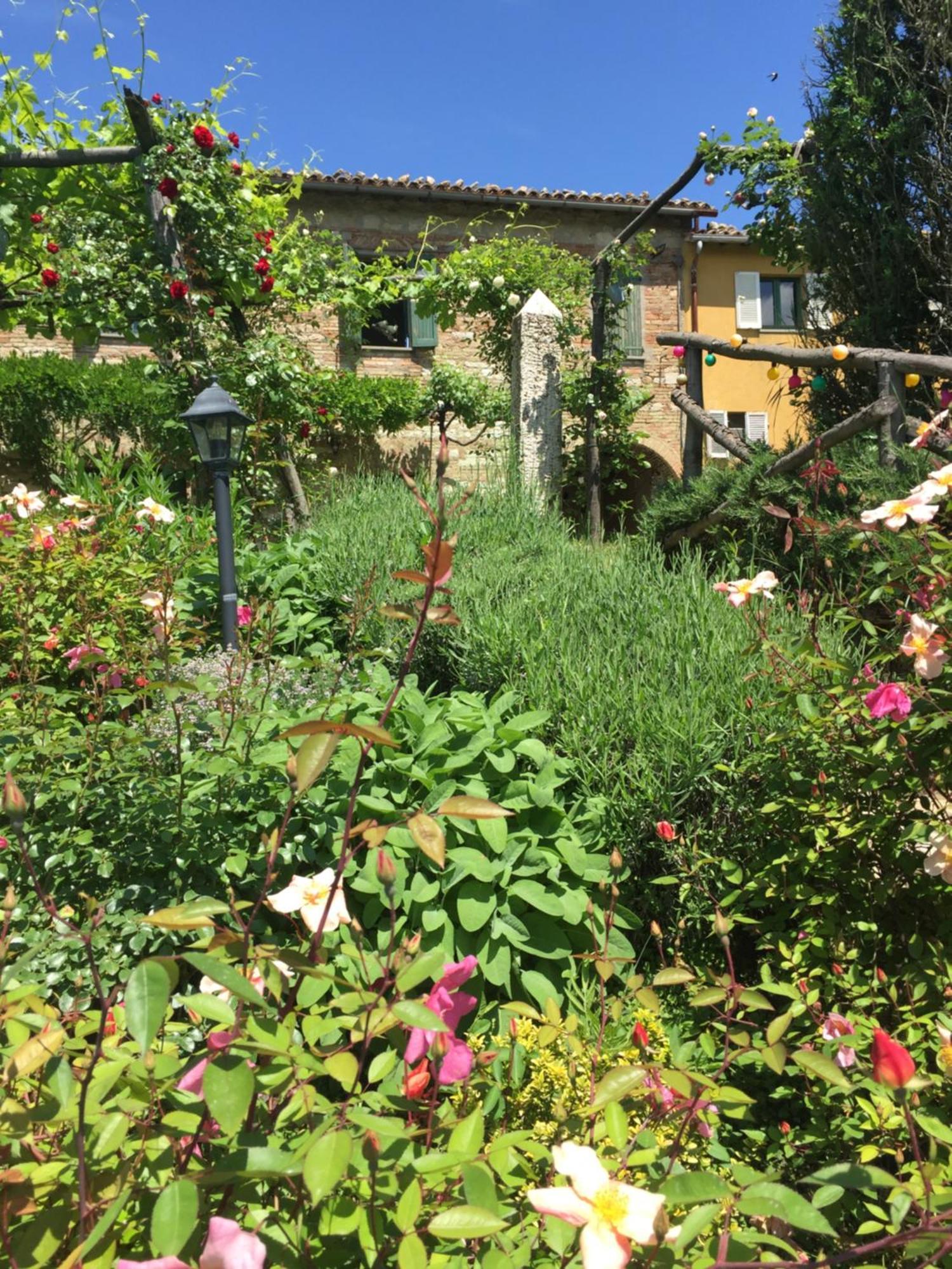 Il Broglino Todi Exterior foto