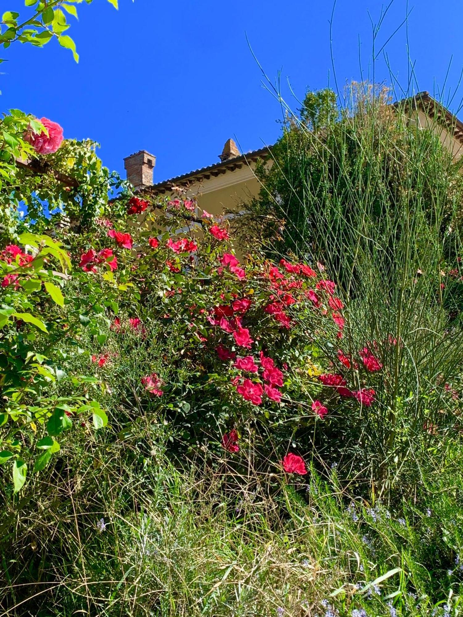 Il Broglino Todi Exterior foto