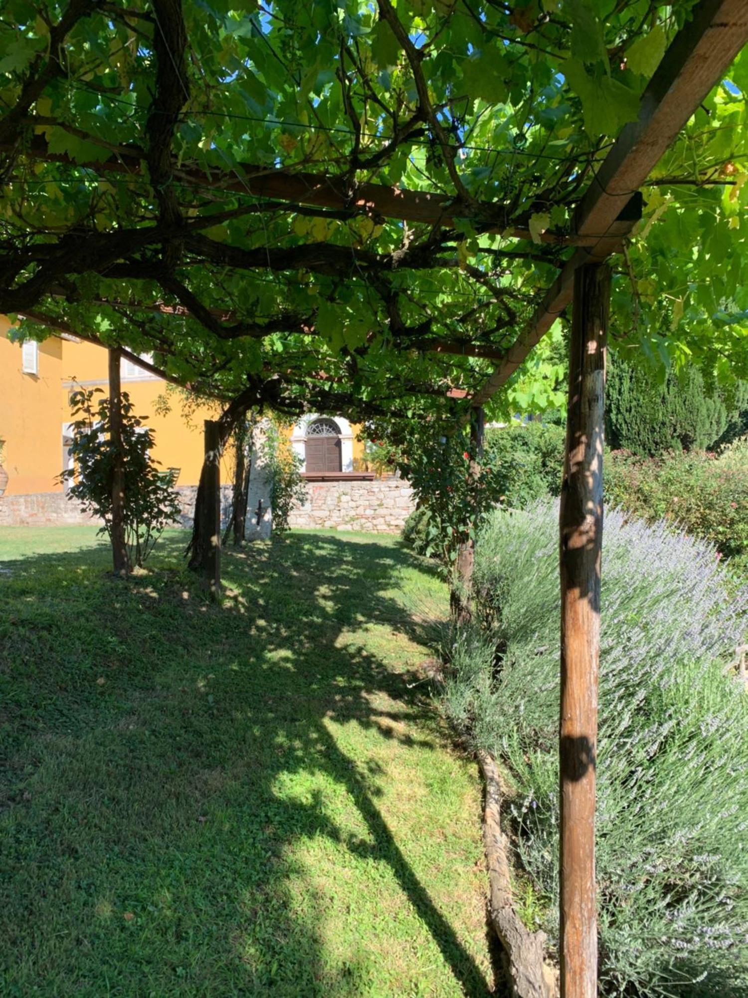 Il Broglino Todi Exterior foto
