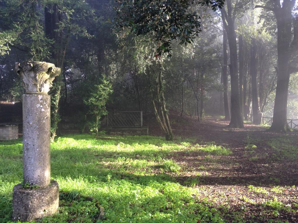 Il Broglino Todi Exterior foto